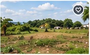 Land & Property